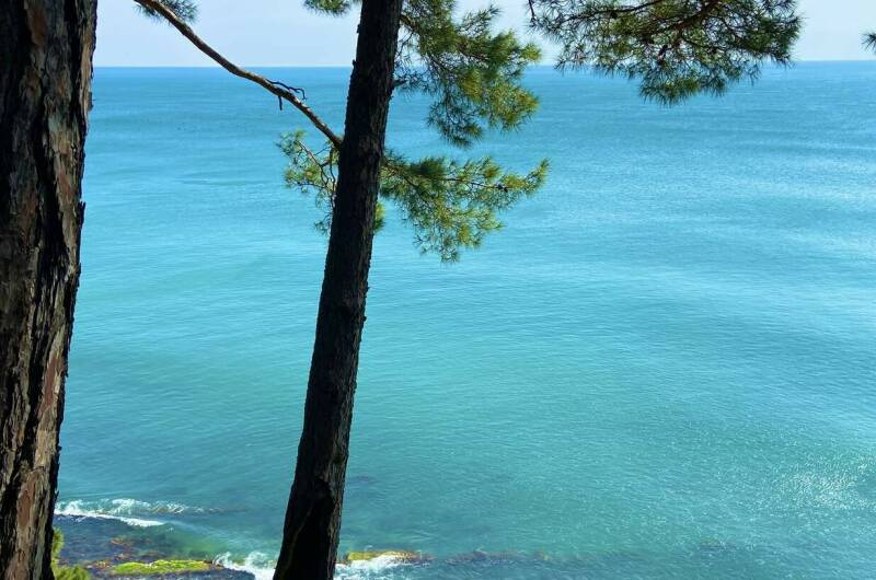 Квартира в п. Сосновый