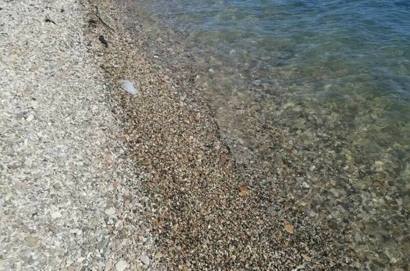 Домик у моря