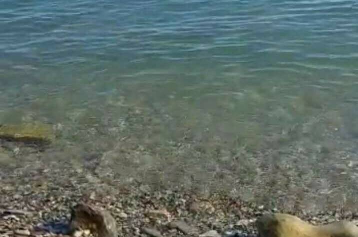 Домик у моря