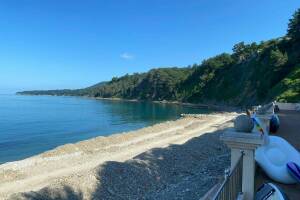 Изображение Двухкомнатный апартамент «Сосновый берег» #4