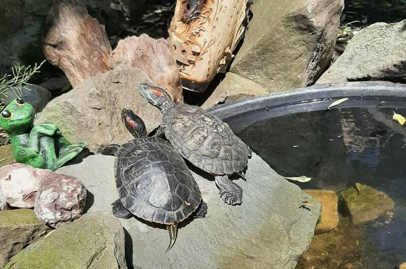 Гостевой дом «У моря»