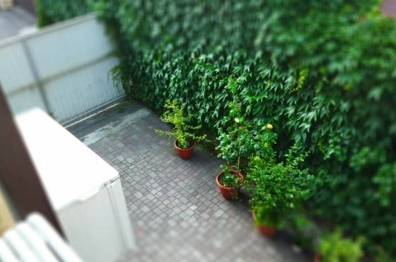 Двухкомнатная квартира на море (евродвушка)