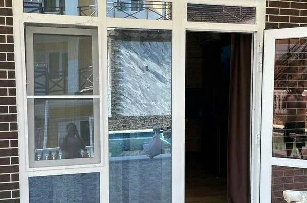 Гостевой дом «Южная ночь»