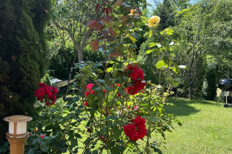 Апартаменты в КП «Резиденция солнца»