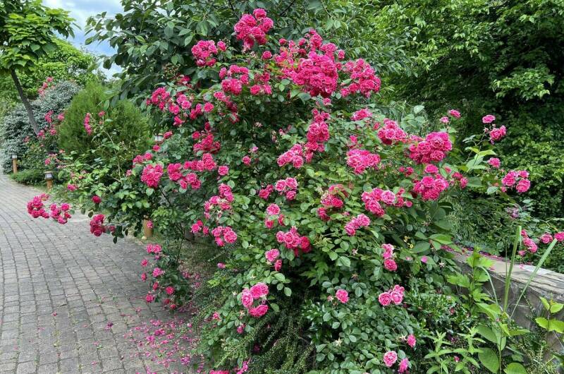 Апартаменты в КП «Резиденция солнца»