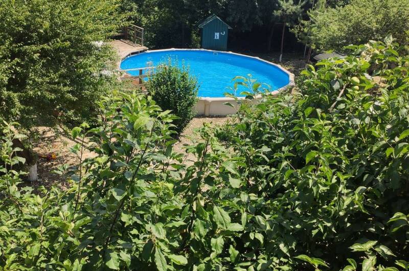 База отдыха «У Дарьи»