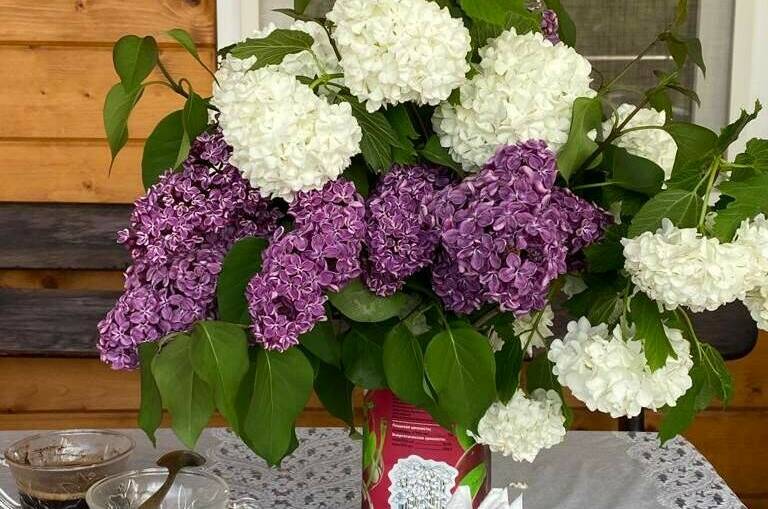 Дом под ключ у моря на 4 человека