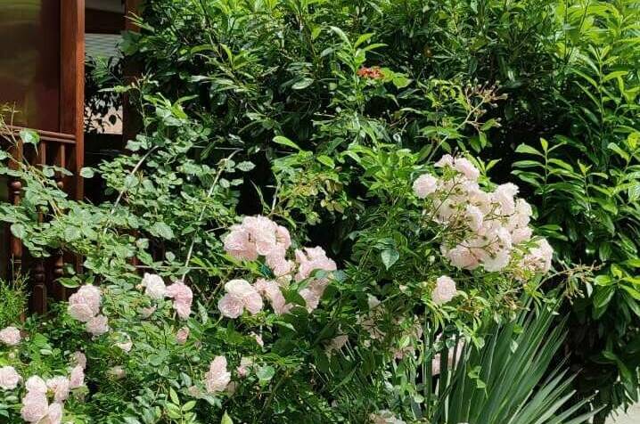 Дом под ключ у моря на 4 человека