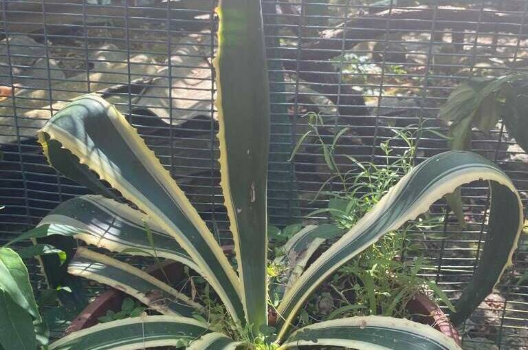 Частный дом «Тихое местечко»