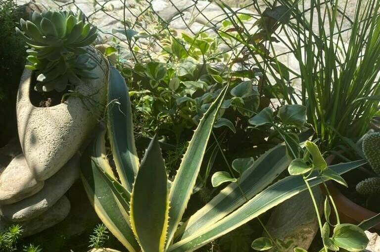 Частный дом «Тихое местечко»