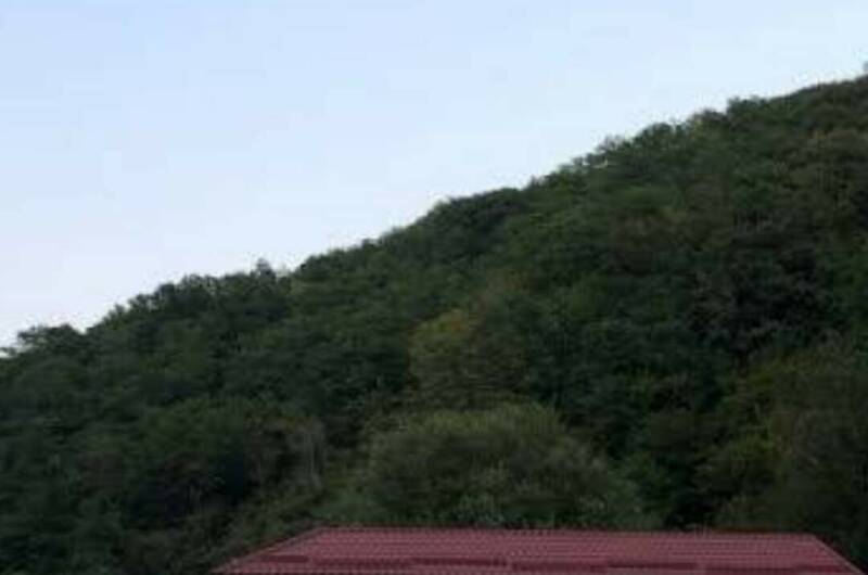 Гостевой дом «LiSa»