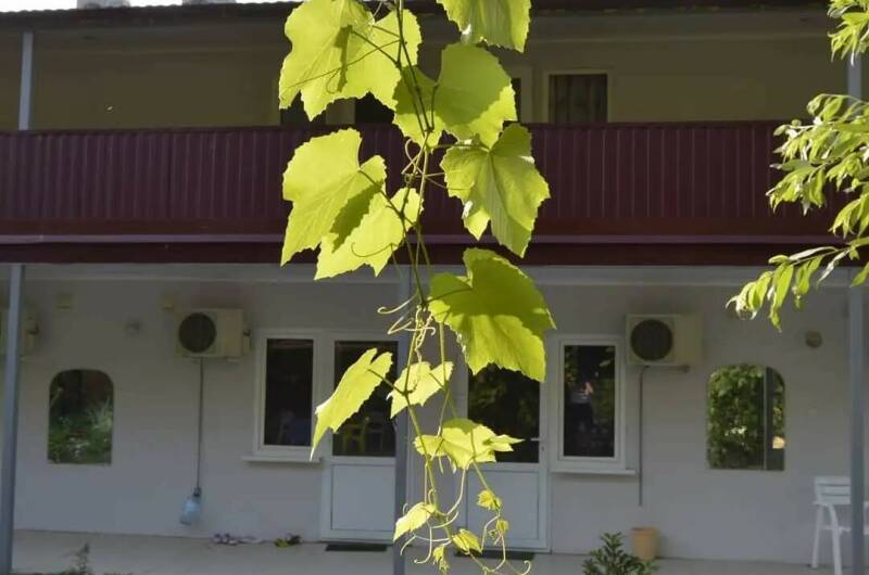 Гостевой дом «LiSa»