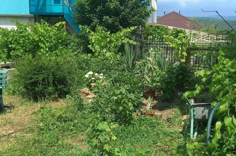 Гостевой дом «Солнечный ветер»