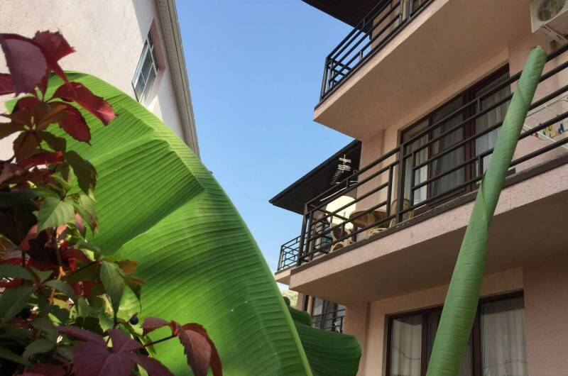 Гостевой дом «Брауни»