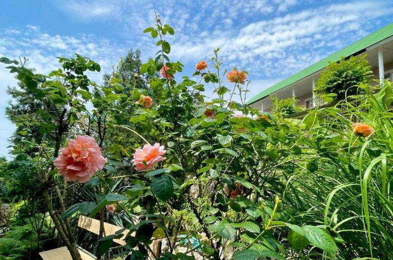 Гостевой дом на Ростовской 5