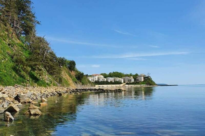 Апартаменты «Сосновый берег»