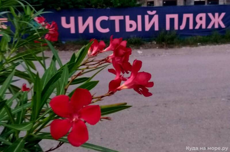 Часть дома «БлагоДом»