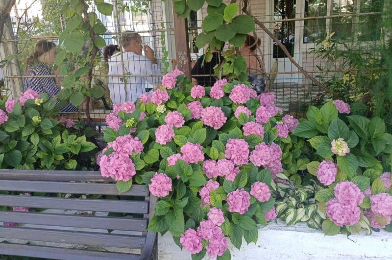 Гостевой дом «У Аделины»