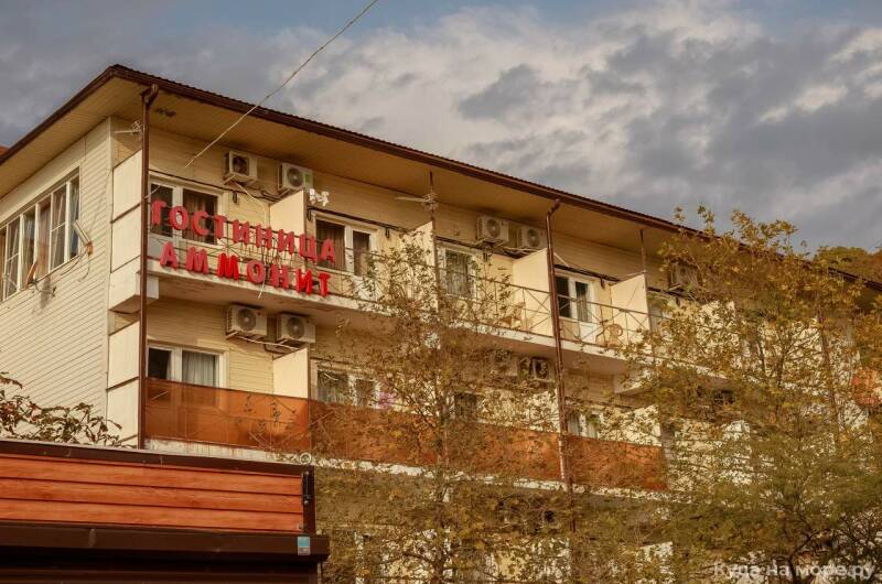 Гостиница «Аммонит»