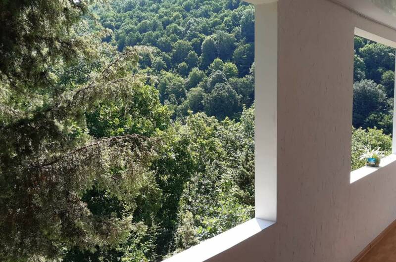 Гостевой дом «Можевеловый рай»