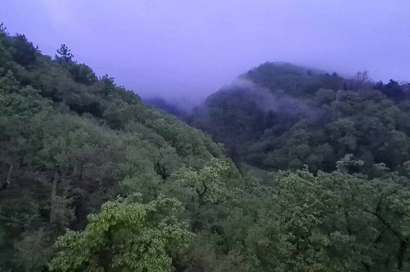 Квартира-студия