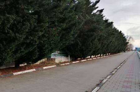 Студия в ЖК «SunHills»