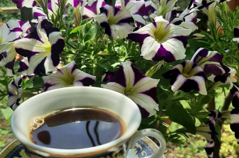 «Дом на море» под ключ