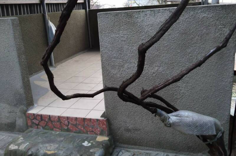 Частный дом на Черноморской