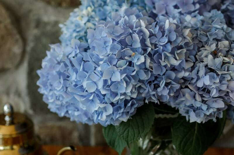 Гостевой дом «Ласточкино гнездо»