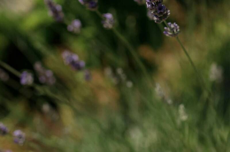 Гостевой дом «Ласточкино гнездо»