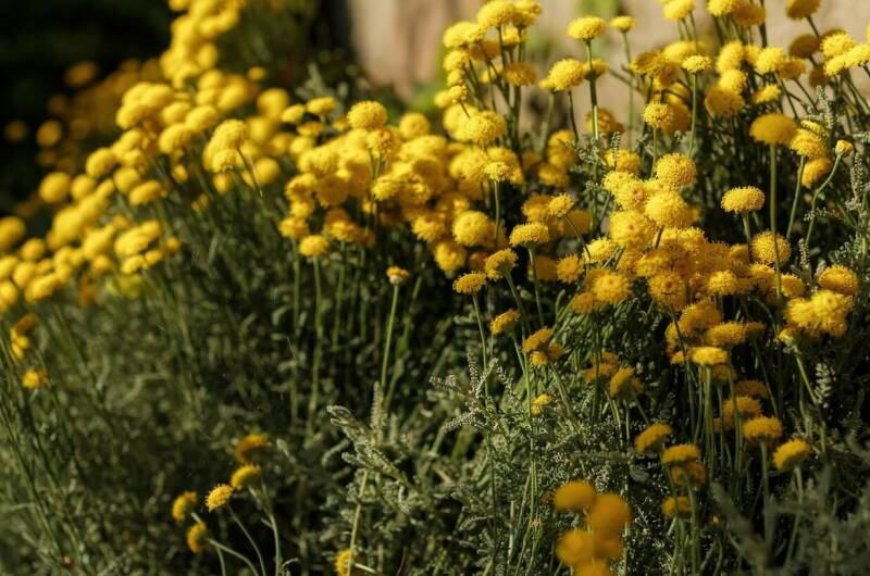 Гостевой дом «Ласточкино гнездо»