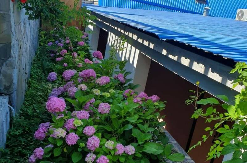 Гостевой дом «Ласточкино гнездо»