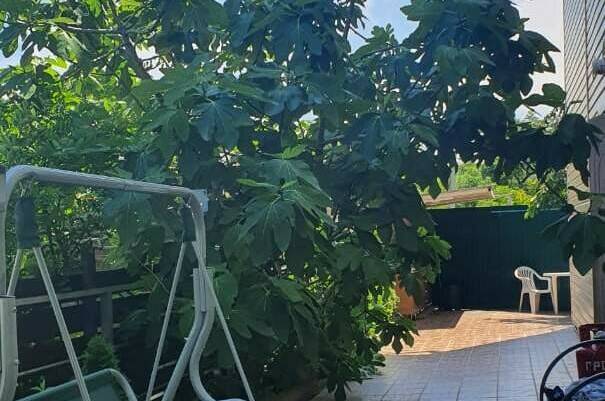 Гостевой дом «Дельфин на Приморской»