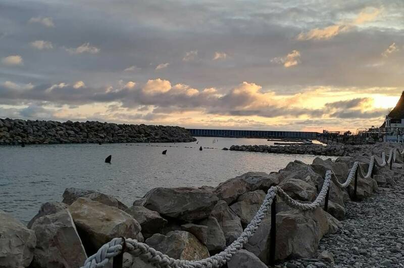 Студия в ЖК «Sun Hills»