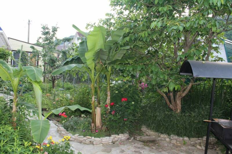 Частный дом «Алтум»