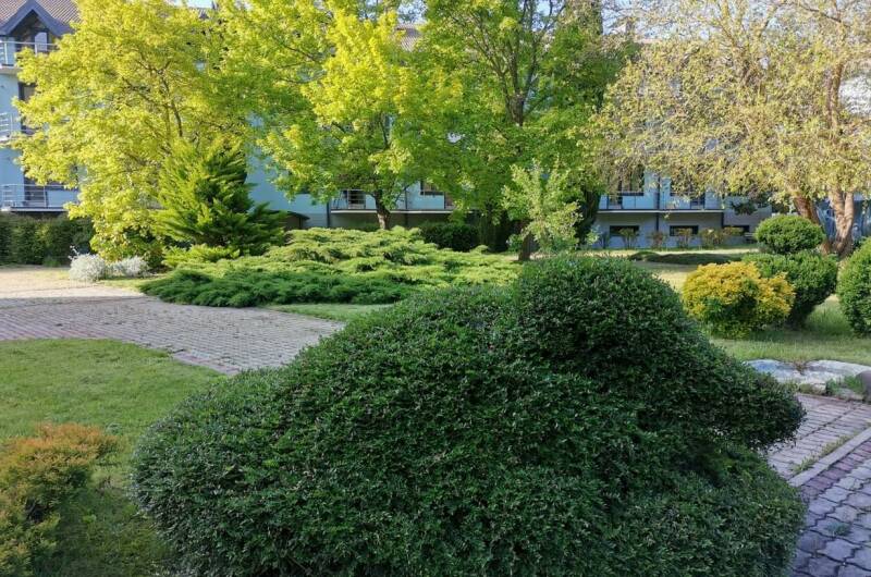 Апартаменты «Агой»