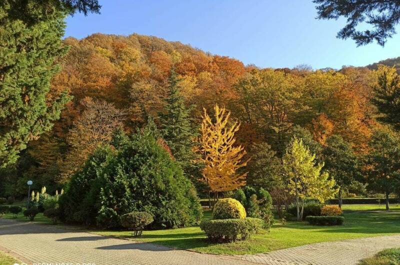 Апартаменты «Агой»