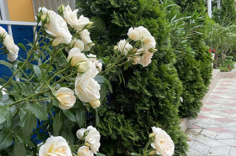 Гостевой дом «Прибой»