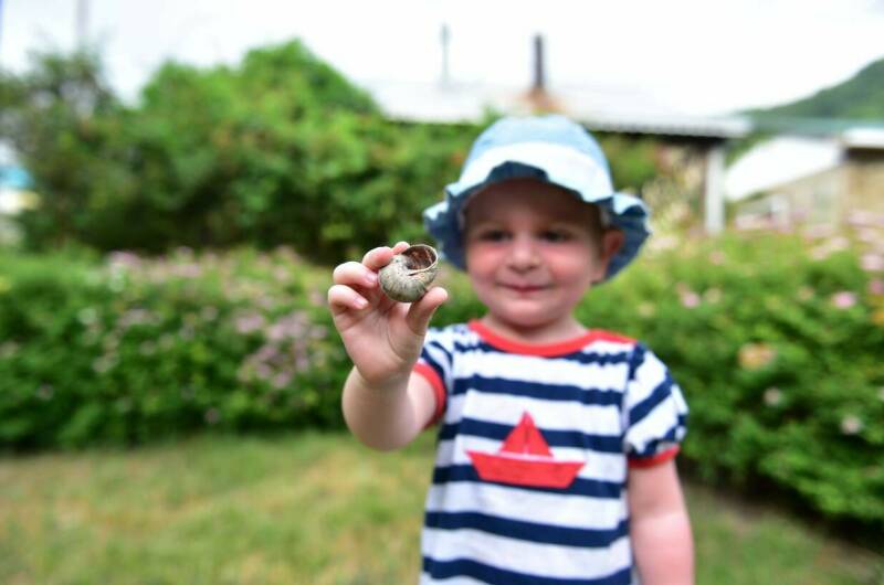 Бард-отель «Алые Паруса»