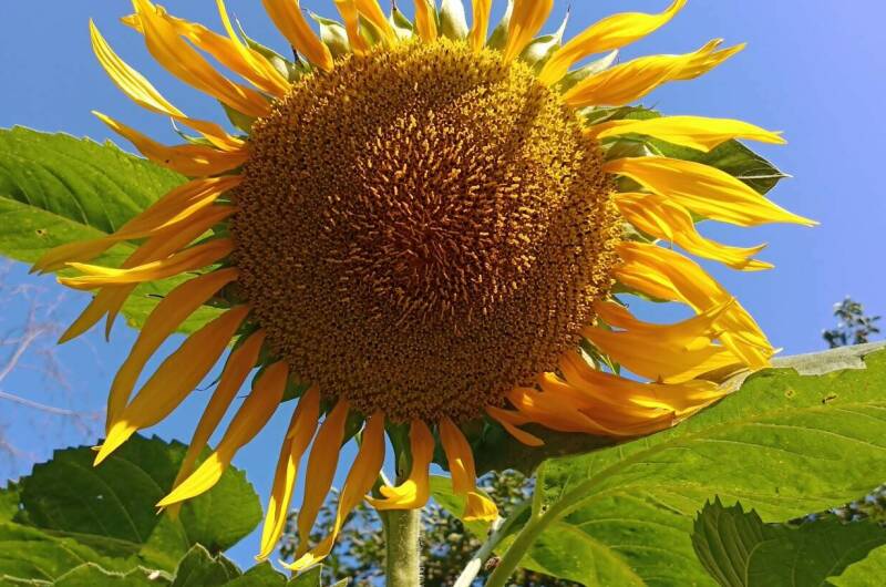 Гостевой дом «345 шагов»