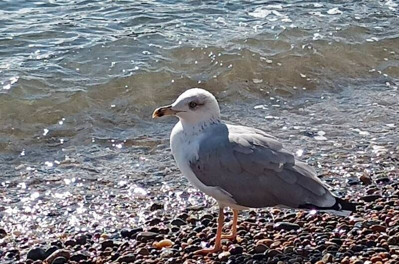 Гостевой дом «345 шагов»