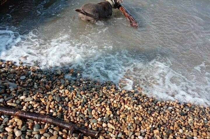 Гостевой дом «345 шагов»