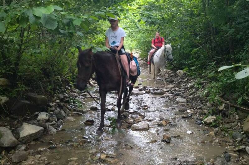 Гостевой дом «Старая кляча»
