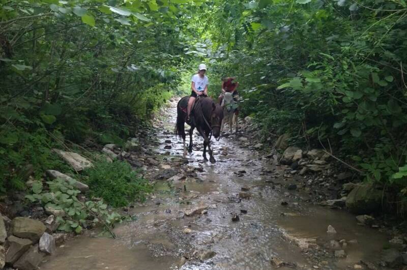 Гостевой дом «Старая кляча»