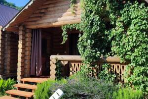 Изображение Дедеркоя #6