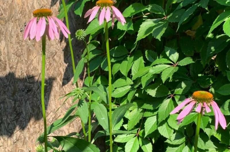 Дом под ключ «Тихий уголок»