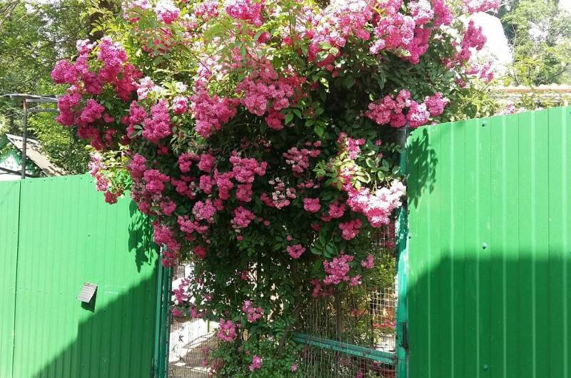 Гостевой дом «У Саши»