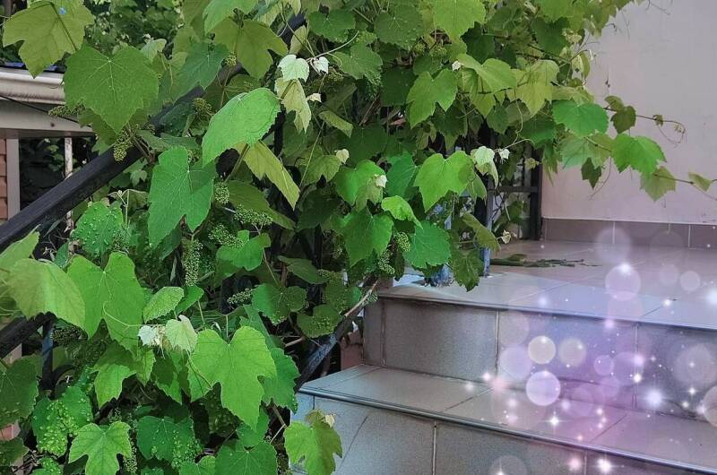 Гостевой дом «У Егора»