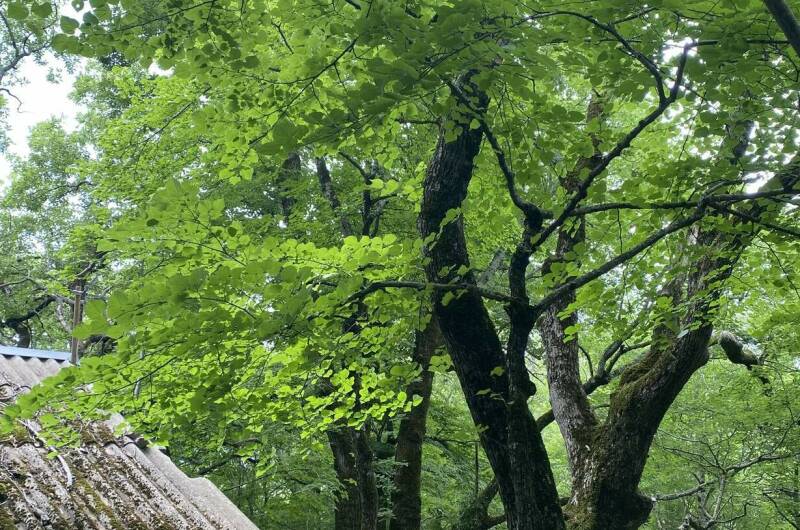 База отдыха «Затерянный Рай»