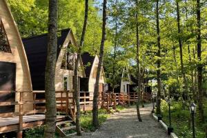 Изображение Клуб загородного отдыха «Дубрава» #3